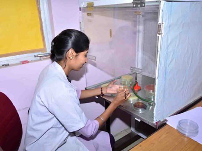 Shri Shivaji Science College Amravati Infrastructure photo 2